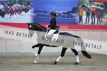181887_mtp_02_R62_7411.JPG