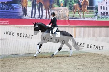 181887_mtp_04_R62_9236.JPG