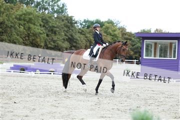 181923_mtp_01_R62_6705.JPG