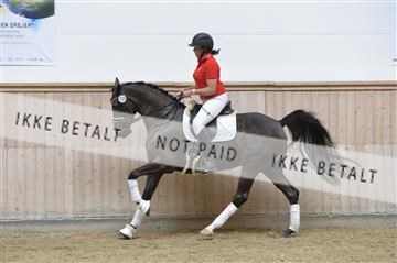 160111_nn_01__ESK1453.JPG
