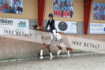 181867_mtp_02_R62_4677.JPG