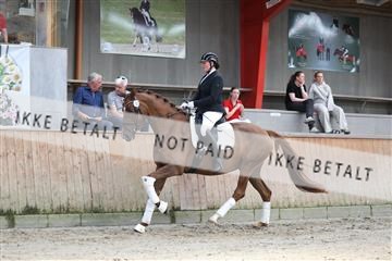 181867_mtp_01_R62_3798.JPG