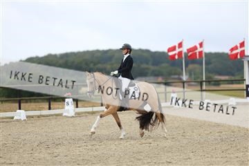 181894_mtp_04_R62_3679.JPG