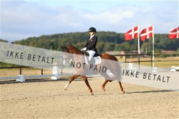 181894_mtp_04_R62_3059.JPG