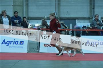 173842_bkn_01__D047610.JPG