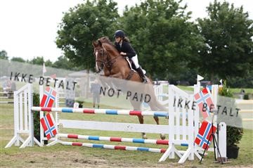 152528_nn_01_IMG_3446.JPG