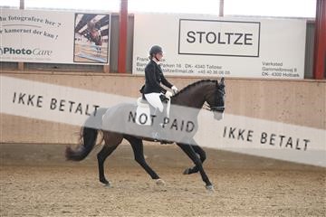 173782_mtp_01_3M5A6964.JPG