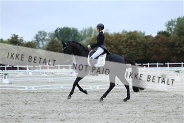 181923_mtp_01_R62_6576.JPG