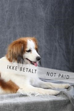 129608_le_ 01_0555.JPG