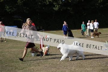 181848_kar_01__62_1602.JPG