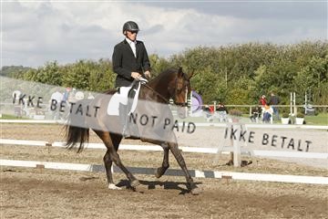 130918_sc_01_IMG_1430.jpg