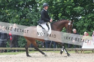 135518_ms_01_IMG_1352.JPG