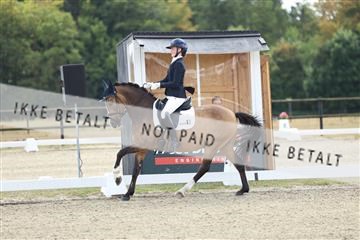 181894_mtp_02_R62_1539.JPG