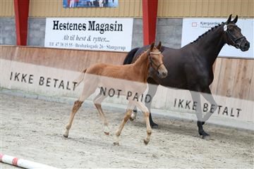 181868_mtp_03_R62_5737.JPG