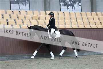181852_mtp_01_R62_1210.JPG