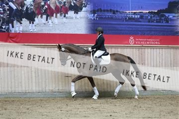 181887_mtp_02_R62_7778.JPG