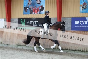 181867_mtp_02_R62_4592.JPG