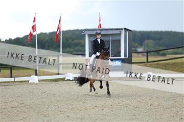 181894_mtp_05_R62_4191.JPG