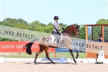 181449_bc_01R62_6102.JPG