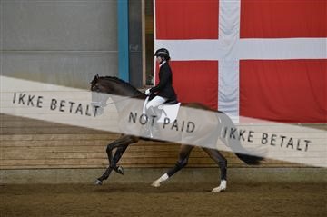 144288_abo_01__AB22749.JPG