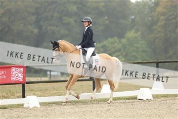 181894_mtp_04_R62_3565.JPG