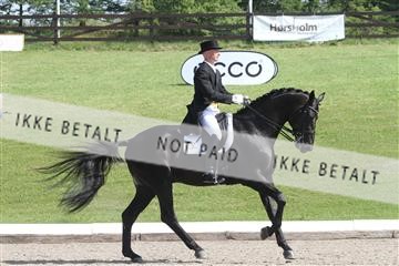 135676_sg_01_IMG_7902.JPG