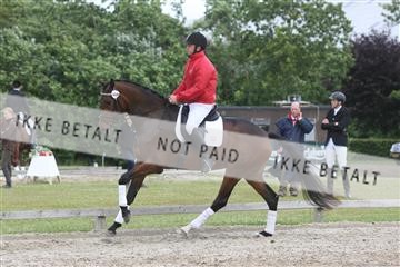 135518_ms_02_IMG_2685.JPG