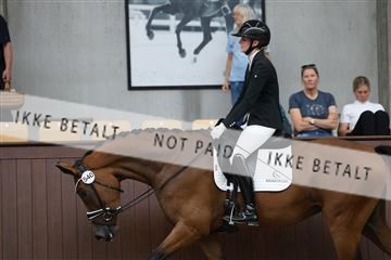 181852_mtp_03_R62_2286.JPG