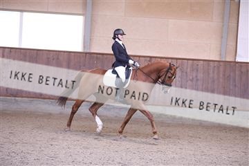 173821_mtp_01_3M5A9226.JPG