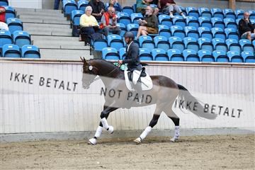 181887_mtp_04_R62_8454.JPG