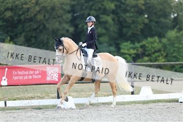 181894_mtp_04_R62_4064.JPG
