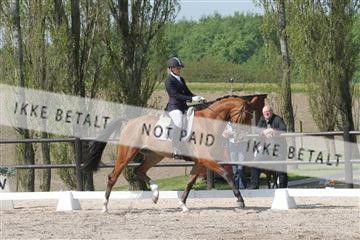 135086_sg_01_IMG_0003.JPG