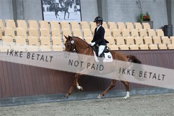 181852_mtp_01_R62_1188.JPG