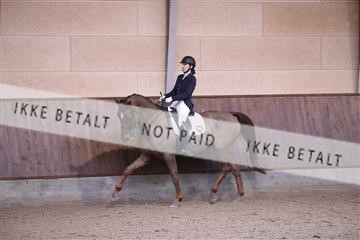 173821_mtp_01_3M5A9125.JPG
