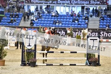 161006_abo_01__D051645.JPG