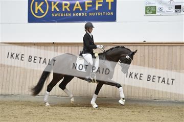 160111_nn_01__ESK2025.JPG