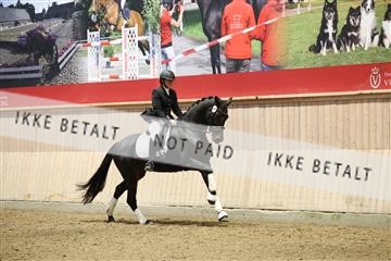 175676_avh_01_R62_4625.JPG