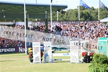181726_mlm_02_R62_9307.JPG