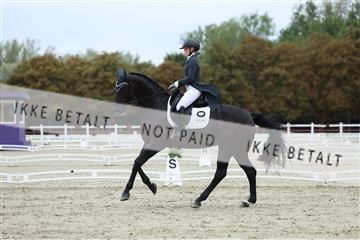 181923_mtp_01_R62_6975.JPG