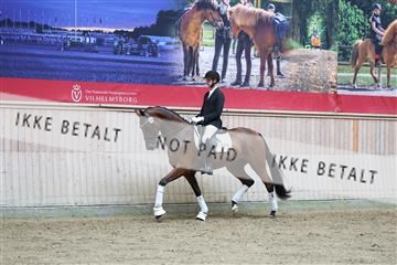 181887_mtp_04_R62_8735.JPG