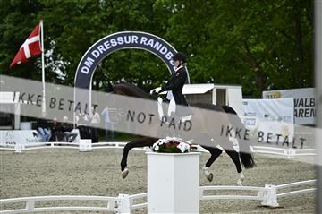 181449_kbb_03_Z090817.JPG