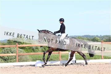 181449_bc_01R62_6165.JPG