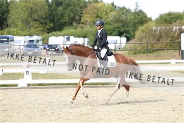 181894_mtp_05_R62_4483.JPG