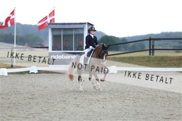 181894_mtp_05_R62_4242.JPG