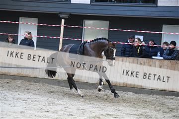 170446_abo_01_D05_0881.JPG