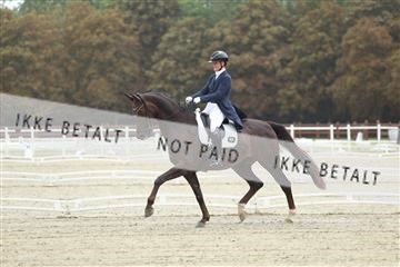 181923_mtp_04_R62_8278.JPG