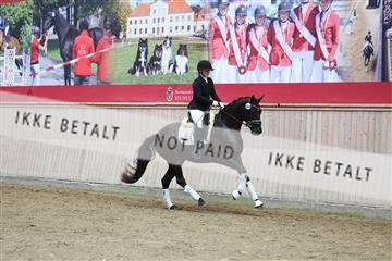 181887_mtp_04_R62_9297.JPG