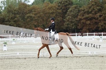 181923_mtp_02_R62_7057.JPG
