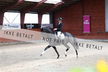 175442_kbb_01_R6II0141.JPG