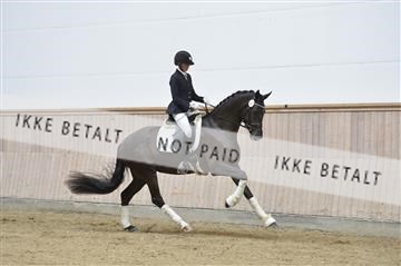 160111_nn_01__ESK1937.JPG